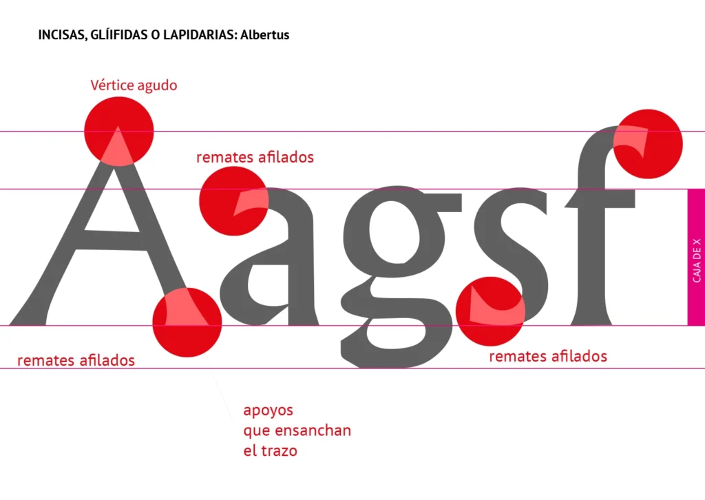 incisa