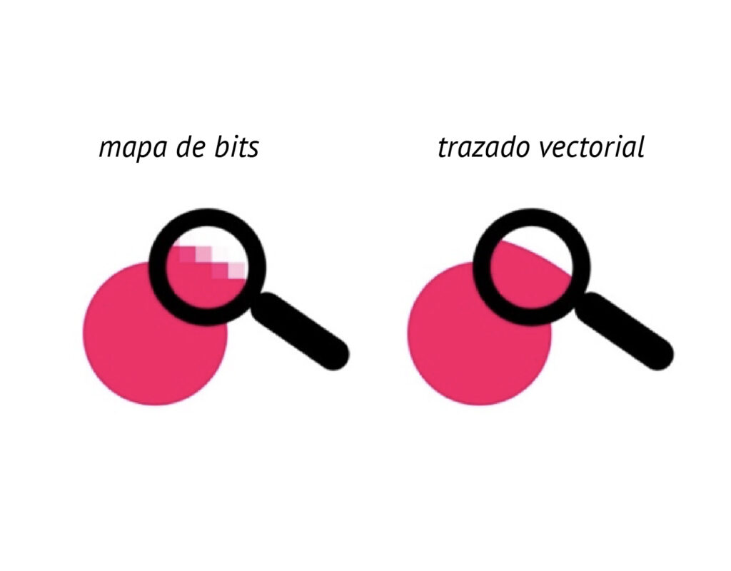 vector